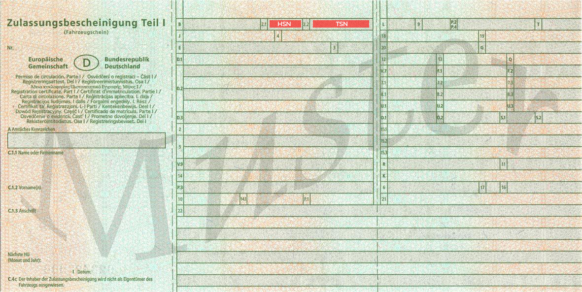 Fahrzeugschein Muster
